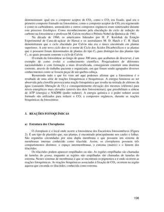 demonstraram: qual era o composto aceptor de CO2, como o CO2 era fixado, qual era o 
primeiro composto formado na fotossíntese, como o composto aceptor de CO2 era regenerado 
e como os carboidratos, aminoácidos e outros compostos orgânicos eram sintetizados durante 
este processo fisiológico. Como reconhecimento pela elucidação do ciclo de redução do 
carbono na fotossíntese o professor M. Calvin recebeu o Prêmio Nobel da Química de 1961. 
Na década de 1960, os americanos liderados por H. P. Kortshak da Estação 
Experimental de Cana-de-açúcar do Hawai e os australianos M. D. Hatch e C. R. Slack 
demonstraram que o ciclo elucidado por Calvin não era o único encontrado em plantas 
superiores. A este novo ciclo deu-se o nome de Ciclo dos Ácidos Dicarboxílicos e as plantas 
que o possuem foram denominados de plantas do tipo C4 para distinguí-las das plantas tipo 
C3, as quais possuem somente o ciclo de Calvin. 
O estudo da fotossíntese ao longo de quase 300 anos, que acabamos de descrever, é um 
exemplo de como evolui o conhecimento científico. Pesquisadores de diferentes 
nacionalidades e com formação a mais diversificada, conseguiram construir uma doutrina 
coerente, através do trabalho paciente e organizado, em que foram sendo agrupados diversos 
conhecimentos como se fossem peças de um quebra-cabeça. 
Resumindo tudo o que foi visto até aqui podemos afirmar que a fotossíntese é o 
resultado de uma série de reações fotoquímicas e bioquímicas. A energia luminosa ao ser 
absorvida pela clorofila provoca uma reação fotoquímica que resulta na retirada de elétrons da 
água (causando liberação de O2) e consequentemente elevação dos mesmos (elétrons) para 
níveis energéticos mais elevados (através dos dois fotossistemas), que possibilitam a síntese 
de ATP (energia) e NADPH (poder redutor). A energia química e o poder redutor assim 
formado são utilizados para reduzir o CO2 a compostos orgânicos, durante as reações 
bioquímicas da fotossíntese. 
106 
3. REAÇÕES FOTOQUÍMICAS 
a) Estrutura dos Cloroplastos 
O cloroplasto é o local onde ocorre a fotossíntese dos Eucariotos fotossintéticos (Figura 
2). É um tipo de plastídio que, nas plantas, é encontrado principalmente nos caules e folhas. 
São organelas circundadas por uma dupla membrana e que possuem um sistema de 
membranas internas conhecido como tilacóide. Assim, os cloroplastos possuem três 
compartimentos distintos: o espaço intermembranar, o estroma (matriz) e o lúmem dos 
tilacóides. 
Os tilacóides podem aparecer empilhados ou não. As regiões empilhadas são chamadas 
de lamelas do grana, enquanto as regiões não empilhadas são chamadas de lamelas do 
estroma. Nestes sistemas de membranas é que se encontram os pigmentos e é onde ocorrem as 
reações fotoquímicas. As reações bioquímicas associadas à fixação de CO2, ocorrem na região 
aquosa que circunda os tilacóides, conhecida como estroma. 
 