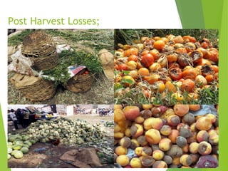 Post Harvest Losses;
 