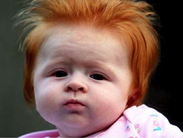 Talking to Humans: Success Starts with Understanding your Customers