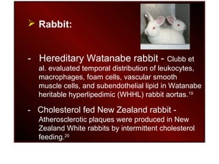 225 animal models of heart attack part 2 | PPT