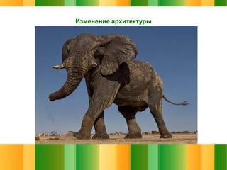 Изменение архитектуры

 