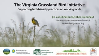 TheVirginia Grassland Bird Initiative
Supporting bird-friendly practices on working lands
Co-coordinator: October Greenﬁeld
The Piedmont Environmental Council
ogreenﬁeld@pecva.org
 