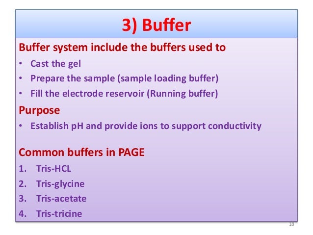 Vertical Gel Electrophoresis Sds Page
