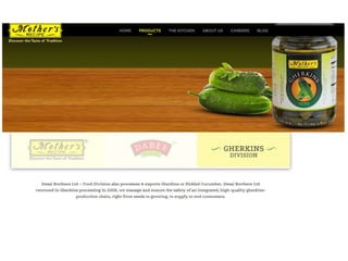 new product development & launch