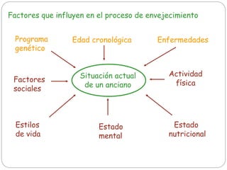 Factores que influyen en el proceso de envejecimiento
Programa
genético
Edad cronológica Enfermedades
Factores
sociales
Actividad
física
Estilos
de vida
Estado
mental
Estado
nutricional
Situación actual
de un anciano
 