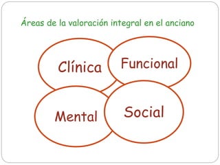 Clínica Funcional
Mental Social
Áreas de la valoración integral en el anciano
 