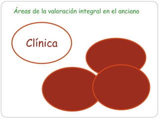 Clínica
Funcional
Mental Social
Áreas de la valoración integral en el anciano
 