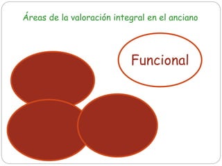 Clínica
Funcional
Mental Social
Áreas de la valoración integral en el anciano
 
