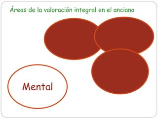 Clínica Funcional
Mental
Social
Áreas de la valoración integral en el anciano
 