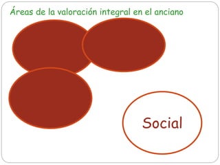 Clínica Funcional
Mental
Social
Áreas de la valoración integral en el anciano
 
