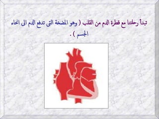 الجهاز الدوري و الدوران | PPTX