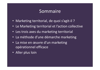 Sommaire
• Marketing territorial, de quoi s’agit-il ?
• Le Marketing territorial et l’action collective
• Les trois axes du marketing territorial
• La méthode d’une démarche marketing
• La mise en œuvre d’un marketing
opérationnel efficace
• Aller plus loin
 