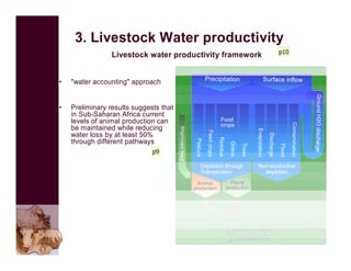 The use of VGT4AFRICA products—Some CGIAR examples