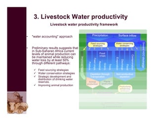 The use of VGT4AFRICA products—Some CGIAR examples