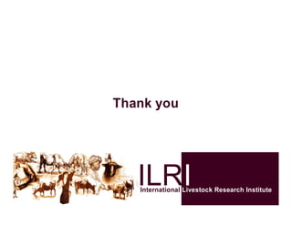 The use of VGT4AFRICA products—Some CGIAR examples