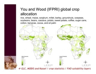 The use of VGT4AFRICA products—Some CGIAR examples