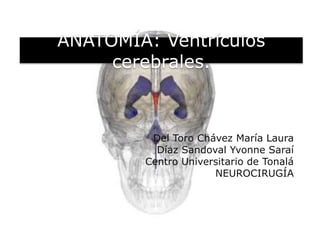 ANATOMÍA: Ventrículos
cerebrales.
Del Toro Chávez María Laura
Díaz Sandoval Yvonne Saraí
Centro Universitario de Tonalá
NEUROCIRUGÍA
 