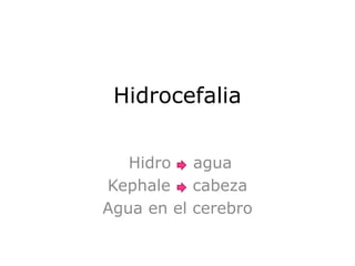 Hidrocefalia
Hidro agua
Kephale cabeza
Agua en el cerebro
 