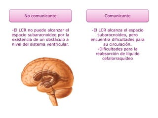 No comunicante Comunicante
-El LCR no puede alcanzar el
espacio subaracnoideo por la
existencia de un obstáculo a
nivel del sistema ventricular.
-El LCR alcanza el espacio
subaracnoideo, pero
encuentra dificultades para
su circulación.
-Dificultades para la
reabsorción de líquido
cefalorraquídeo
 