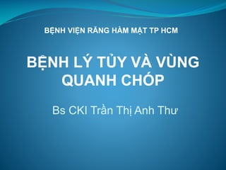 BỆNH LÝ TỦY VÀ VÙNG
QUANH CHÓP
Bs CKI Trần Thị Anh Thư
BỆNH VIỆN RĂNG HÀM MẶT TP HCM
 