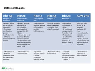 Hbs Ag
Antígeno de
superficie
HbsAc
Anticuerpo de
superficie
HbcAc
Anticuerpo del
core
HbeAg
Antígeno e
HbeAc
Anticuerpo e.
ADN-VHB
- Aparece al final
del periodo de
incubación.
- En caso de
cronificación,
persiste
indefinidamente.
- Útil para
detectar portador
crónico.
- Aparece semanas
después de la
normalización
analítica y de la
desaparición del
HBsAg.
- Hay una fase en la
que no se detecta
“periodo ventana”.
- Su positividad indica
immunocompetencia
e inmunoprotección
frente VH-B.
- Aparece en las
primeras fases de
enfermedad y
persiste
indefinidamente
- Se detecta cuando
existe una elevada
replicación viral,
alta infecciosidad.
-Aparece tras
negativizarse el
HBeAg.
- Su positividad
indica evolución
favorable y baja
infecciosidad.
- En la hepatitis
crónica su
presencia es
paralela al HBsAg.
-Marcador más
directo de la
actividad
replicativa del
virus.
- Su positividad se
asocia con la
inflamación
hepática, aunque
sin correlación con
el grado de lesión
producido.
- Infección actual.
-Portador
(detectable a los
seis meses de la
hepatitis).
- Infección Pasada.
- Inmunización
- IgG indica
infección crónica
o pasada.
- IgM indica
infección aguda
- Replicación activa
e infectividad
- Cese de la
replicación
(excepto en formas
mutantes procore
“e menos”).
- Marcador más
específico de
replicación viral.
Datos serológicos
 