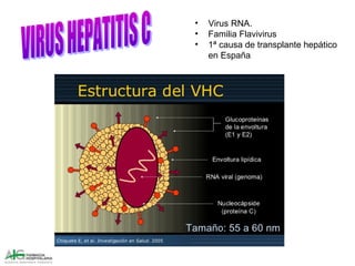 • Virus RNA.
• Familia Flavivirus
• 1ª causa de transplante hepático
en España
 