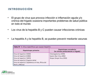 • El grupo de virus que provoca infección e inflamación aguda y/o
crónica del hígado ocasiona importantes problemas de salud pública
en todo el mundo
• Los virus de la hepatitis B y C pueden causar infecciones crónicas
• La hepatitis A y la hepatitis B, se pueden prevenir mediante vacunas
 