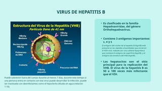 Virus Hepatitis B (esquema de vacunación mexicano) | PPTX