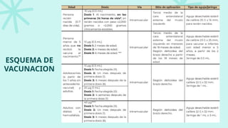 Virus Hepatitis B (esquema de vacunación mexicano) | PPTX
