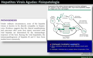 Namankani , 2008
CCO In Practice, 2013
Barbosa AN, 2014

 