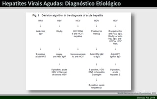 World Gastroenterology Organisation, 2011
Barbosa AN, 2014

 
