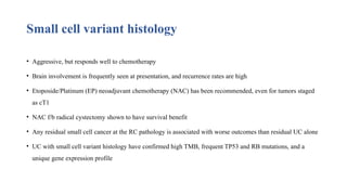 Clinical Management of Variant Histologies in Bladder Cancer: Diagnosis ...