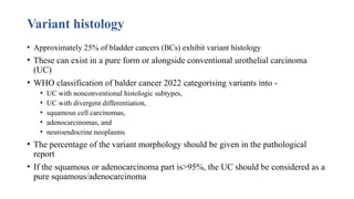 Clinical Management of Variant Histologies in Bladder Cancer: Diagnosis ...