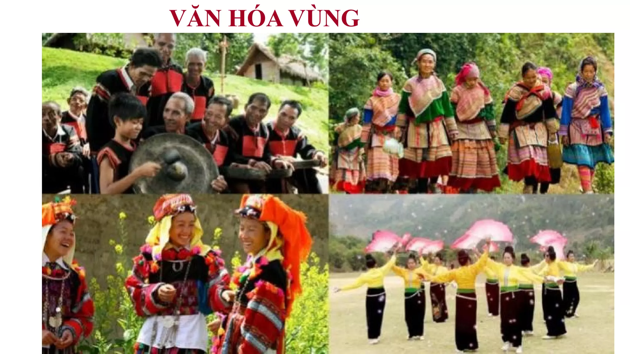 VĂN HÓA VÙNG
 
