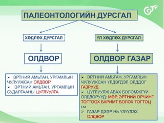 ПАЛЕОНТОЛОГИЙН ДУРСГАЛ
ОЛДВОР
ХӨДЛӨХ ДУРСГАЛ ҮЛ ХӨДЛӨХ ДУРСГАЛ
ОЛДВОР ГАЗАР
 ЭРТНИЙ АМЬТАН, УРГАМЛЫН
ЧУЛУУЖСАН ОЛДВОР
 ЭРТНИЙ АМЬТАН, УРГАМЛЫН
СУДАЛГААНЫ ЦУГЛУУЛГА
 ЭРТНИЙ АМЬТАН, УРГАМЛЫН
ЧУЛУУЖСАН ҮЛДЭГДЭЛ ОЛДДОГ
ГАЗРУУД
 ЦУГЛУУЛЖ АВАХ БОЛОМЖГҮЙ
ОЛДВОРУУД: МӨР, ЭРТНИЙ ОРЧИНГ
ТОГТООХ БАРИМТ БОЛОХ ТОГТОЦ
г.м
 ГАЗАР ДЭЭР НЬ ҮЗҮҮЛЭХ
ОЛДВОР
 