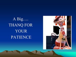 A Big….
THANQ FOR
YOUR
PATIENCE
 