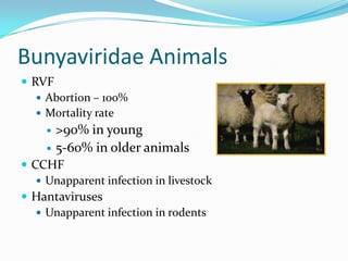 Bunyaviridae Animals
 RVF
 Abortion – 100%
 Mortality rate
 >90% in young
 5-60% in older animals
 CCHF
 Unapparent infection in livestock
 Hantaviruses
 Unapparent infection in rodents
 