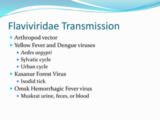 Flaviviridae Transmission
 Arthropod vector
 Yellow Fever and Dengue viruses
 Aedes aegypti
 Sylvatic cycle
 Urban cycle
 Kasanur Forest Virus
 Ixodid tick
 Omsk Hemorrhagic Fever virus
 Muskrat urine, feces, or blood
 