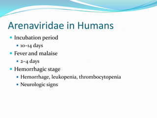 Arenaviridae in Humans
 Incubation period
 10–14 days
 Fever and malaise
 2–4 days
 Hemorrhagic stage
 Hemorrhage, leukopenia, thrombocytopenia
 Neurologic signs
 