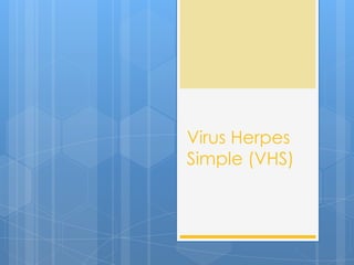 Virus Herpes
Simple (VHS)
 