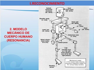 2. MODELO
MECÁNICO DE
CUERPO HUMANO
(RESONANCIA)
I.RECONOCIMIENTO
 