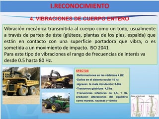 4. VIBRACIONES DE CUERPO ENTERO
I.RECONOCIMIENTO
Vibración mecánica transmitida al cuerpo como un todo, usualmente
a través de partes de éste (glúteos, plantas de los pies, espalda) que
están en contacto con una superficie portadora que vibra, o es
sometida a un movimiento de impacto. ISO 2041
Para este tipo de vibraciones el rango de frecuencias de interés va
desde 0.5 hasta 80 Hz.
EFECTOS
•Deformaciones en las vértebras 4 HZ
•Daños en el sistema ocular 10 hz
•Agravan la mala circulación: 3-6hz
•Trastornos gástricos 4,5 hz
•Frecuencias inferiores de 0,5- 1 Hz,
producen alteraciones del equilibrio
como mareos, nauseas y vómito
 
