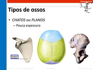 Sistema ósseo




Tipos de ossos
 • CHATOS ou PLANOS
       – Pouca espessura




Ciências – 8º ano Ens. Fundamental   4º Bimestre   Profa. Rebeca Vale
 