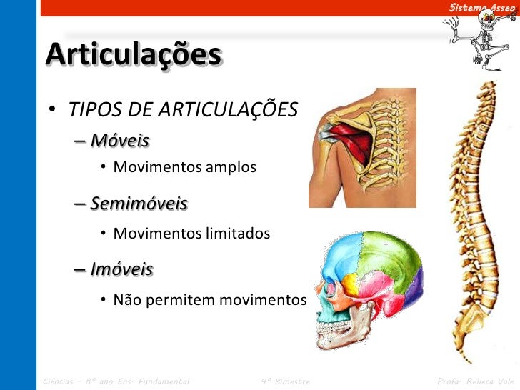 Qual Dessas Articulações Não Corresponde Ao Tipo Correto De Articulação