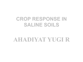 CROP RESPONSE IN
SALINE SOILS
AHADIYAT YUGI R
 