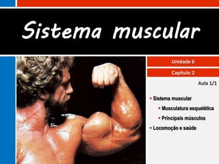 Sistema muscular
                    Unidade 6

                    Capítulo 2
                                 Aula 1/1

            Sistema muscular
               Musculatura esquelética
               Principais músculos
            Locomoção e saúde
 