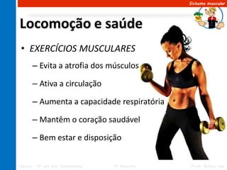 Sistema muscular




Locomoção e saúde
 • EXERCÍCIOS MUSCULARES
       – Evita a atrofia dos músculos

       – Ativa a circulação

       – Aumenta a capacidade respiratória

       – Mantêm o coração saudável

       – Bem estar e disposição


Ciências – 8º ano Ens. Fundamental   4º Bimestre   Profa. Rebeca Vale
 