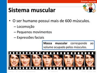 Sistema muscular




Sistema muscular
 • O ser humano possui mais de 600 músculos.
       – Locomoção
       – Pequenos movimentos
       – Expressões faciais
                                     Massa muscular corresponde ao
                                     volume ocupado pelos músculos.




Ciências – 8º ano Ens. Fundamental      4º Bimestre        Profa. Rebeca Vale
 