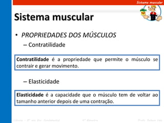 Sistema muscular




Sistema muscular
 • PROPRIEDADES DOS MÚSCULOS
       – Contratilidade

  Contratilidade é a propriedade que permite o músculo se
  contrair e gerar movimento.

       – Elasticidade

  Elasticidade é a capacidade que o músculo tem de voltar ao
  tamanho anterior depois de uma contração.


Ciências – 8º ano Ens. Fundamental   4º Bimestre   Profa. Rebeca Vale
 