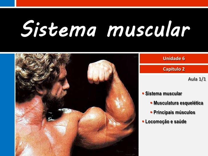 Sistema muscular                    Unidade 6                    Capítulo 2                                 Aula 1/1      ...